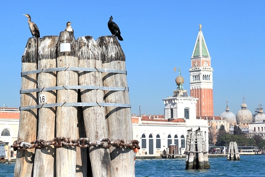 Antico Trentino Srl Briccola di Venezia certificata Lebrìc - 2